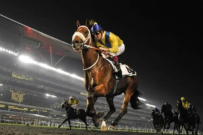 Dubai World Cup